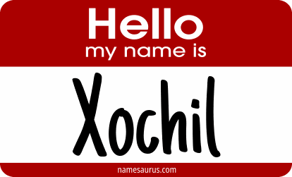 Hello my name is Xochil png download
