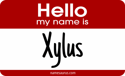 Hello my name is Xylus png download