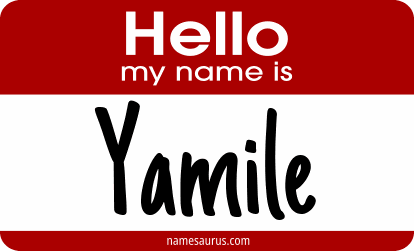 Hello my name is Yamile png download