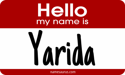 Hello my name is Yarida png download