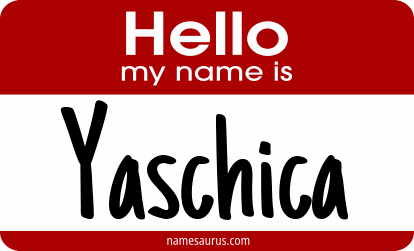 Hello my name is Yaschica png download