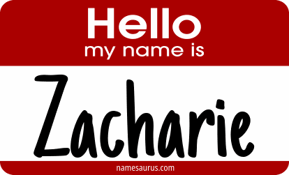 Hello my name is Zacharie png download