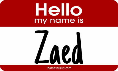 Hello my name is Zaed png download