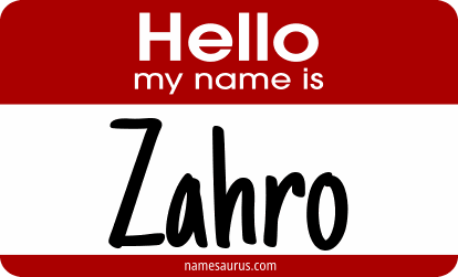 Hello my name is Zahro png download