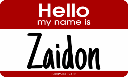 Hello my name is Zaidon png download