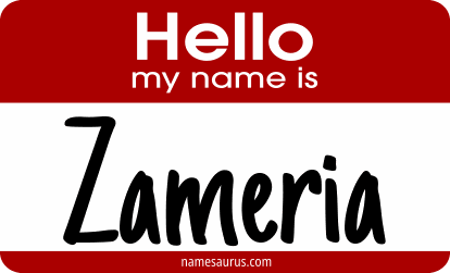 Hello my name is Zameria png download
