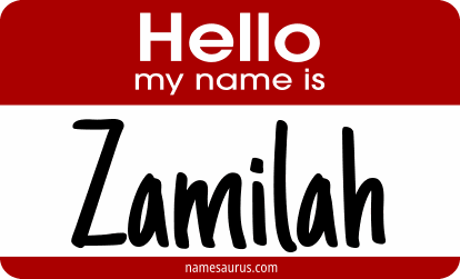Hello my name is Zamilah png download