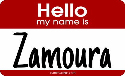 Hello my name is Zamoura png download
