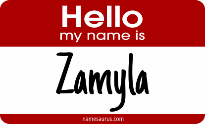 Hello my name is Zamyla png download