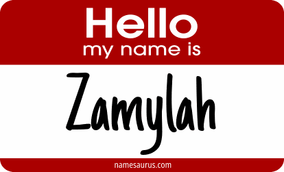 Hello my name is Zamylah png download