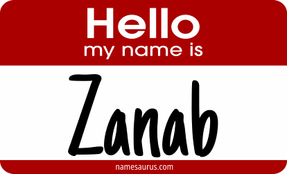 Hello my name is Zanab png download