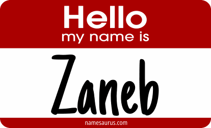 Hello my name is Zaneb png download