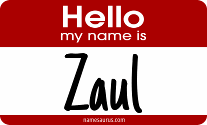 Hello my name is Zaul png download