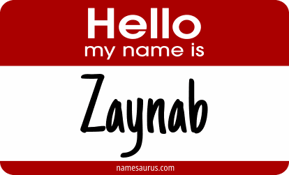Hello my name is Zaynab png download