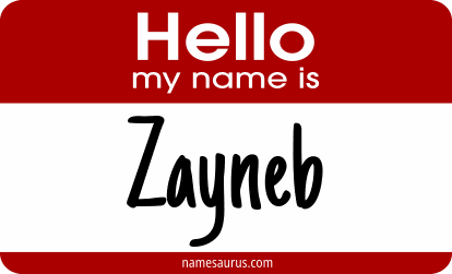 Hello my name is Zayneb png download