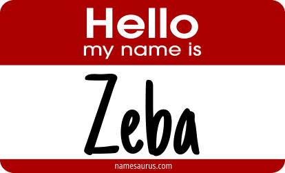 Hello my name is Zeba png download