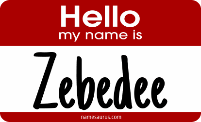 Hello my name is Zebedee png download