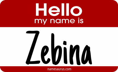 Hello my name is Zebina png download