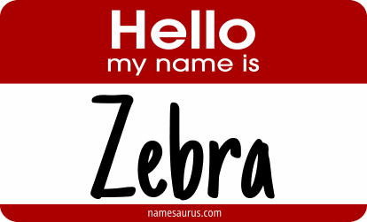 Hello my name is Zebra png download