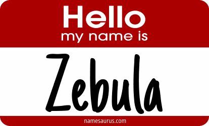 Hello my name is Zebula png download