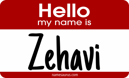 Hello my name is Zehavi png download