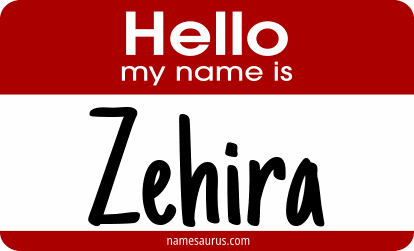 Hello my name is Zehira png download