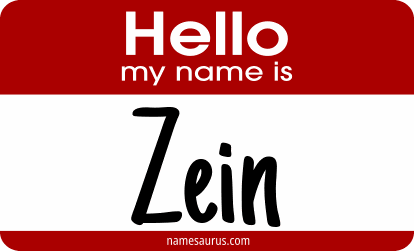 Hello my name is Zein png download