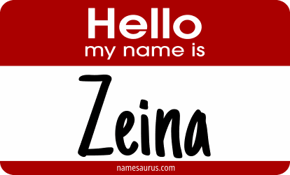 Hello my name is Zeina png download
