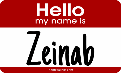 Hello my name is Zeinab png download