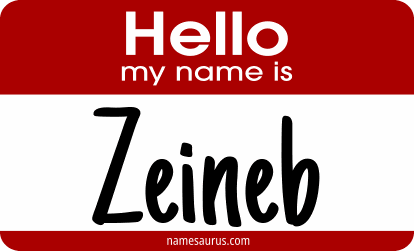 Hello my name is Zeineb png download