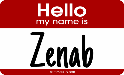 Hello my name is Zenab png download
