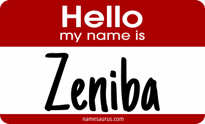 Hello my name is Zeniba png download