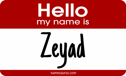 Hello my name is Zeyad png download