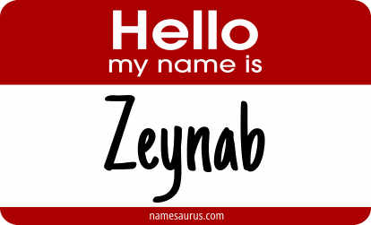 Hello my name is Zeynab png download