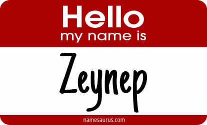 Hello my name is Zeynep png download