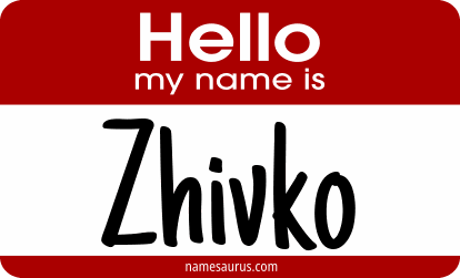 Hello my name is Zhivko png download