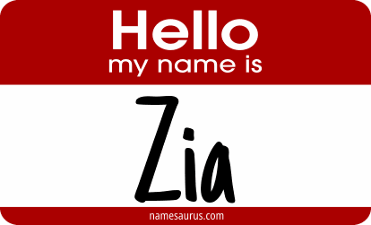 Hello my name is Zia png download