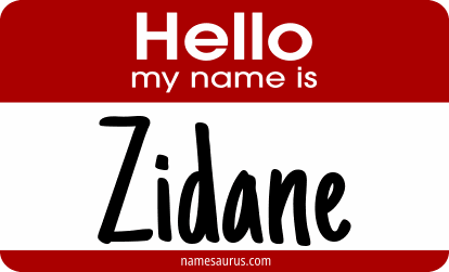 Hello my name is Zidane png download