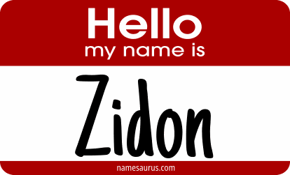 Hello my name is Zidon png download