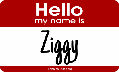 Hello my name is Ziggy png download