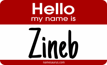 Hello my name is Zineb png download