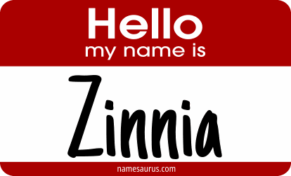 Hello my name is Zinnia png download
