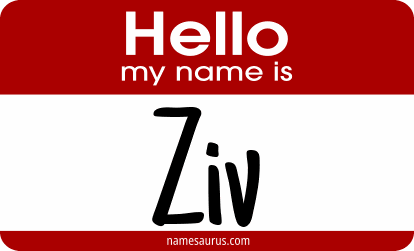 Hello my name is Ziv png download