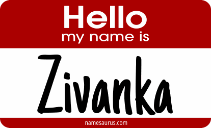 Hello my name is Zivanka png download