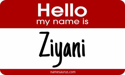 Hello my name is Ziyani png download