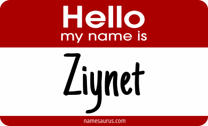 Hello my name is Ziynet png download