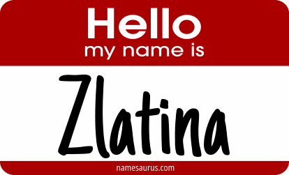 Hello my name is Zlatina png download