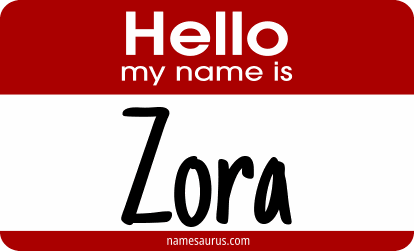 Hello my name is Zora png download