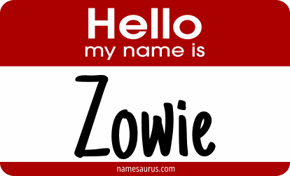 Hello my name is Zowie png download