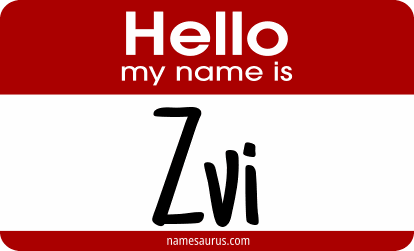 Hello my name is Zvi png download